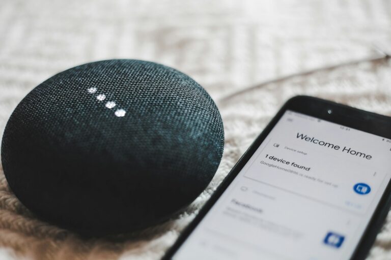 Smart speaker and phone